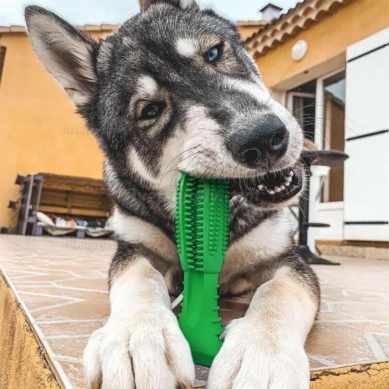 Pet Dog Chew Toys Aggressive Chewers Teeth Cleaning Oral Toothbrush Rubber Bone